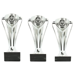 Muziek Trofeeën & Bekers – Bestel Gepersonaliseerde Awards