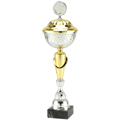Unieke Standard - Trofeeën - Personalisatie door Trofee.be